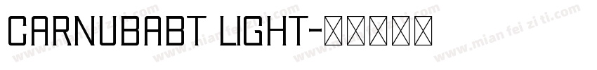 CarnubaBT Light字体转换